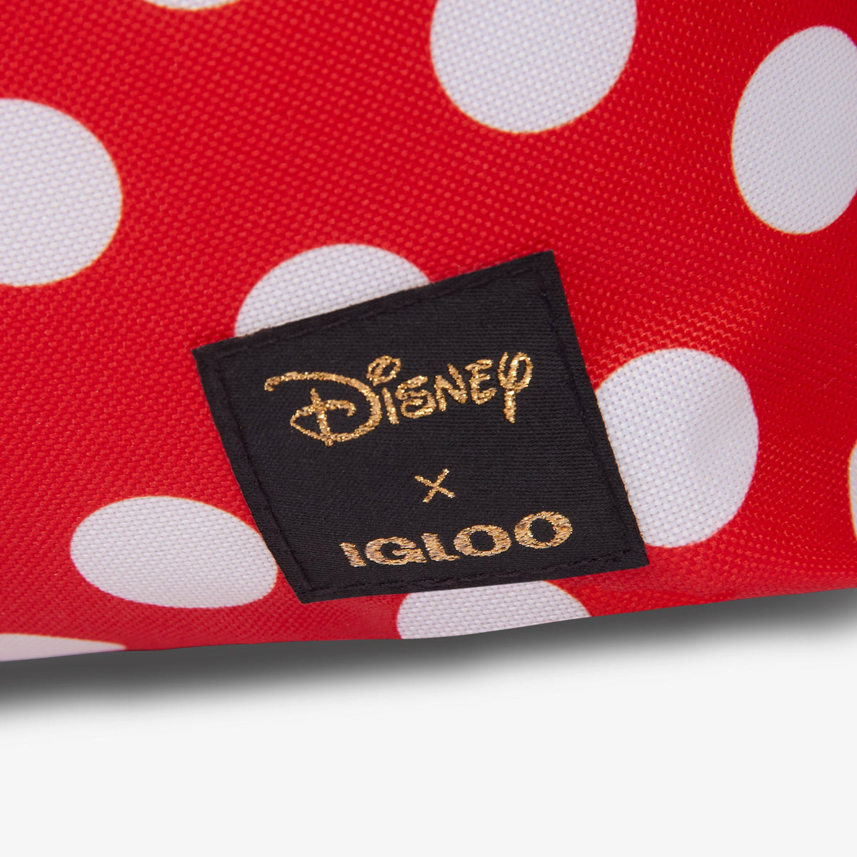 disney-minnie-mouse-mini-convertible-backpack-cooler-y9 00027490-L.jpg