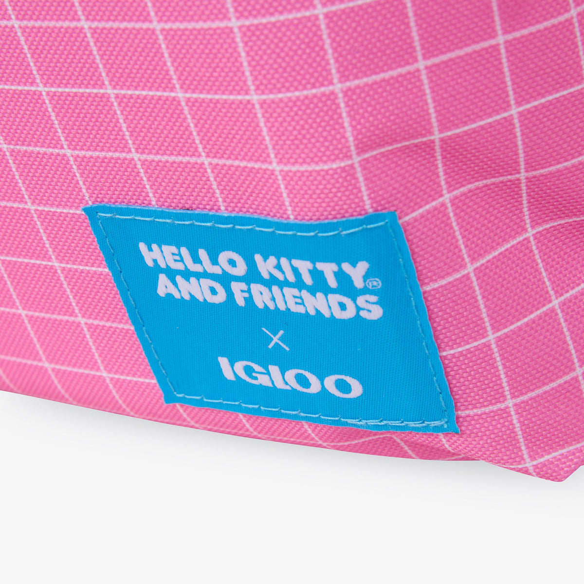 hello-kitty-and-friends-bff-mini-convertible-backpack-cooler-f9 00027591-L.jpg