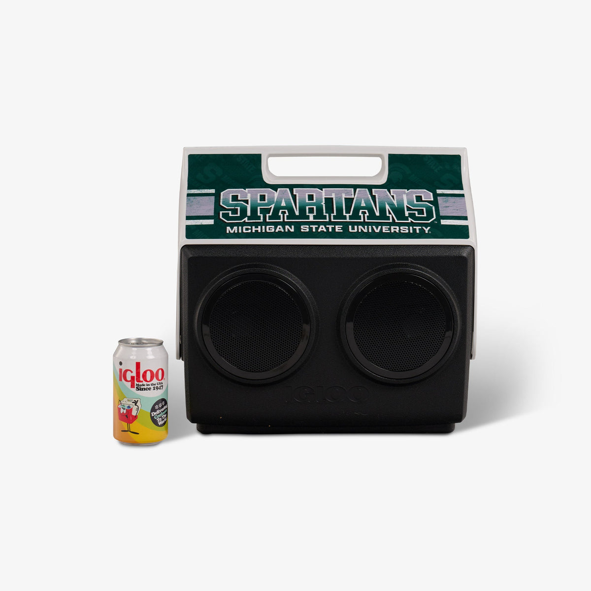 michigan-state-university-kooltunes-f8 00027730-P.jpg