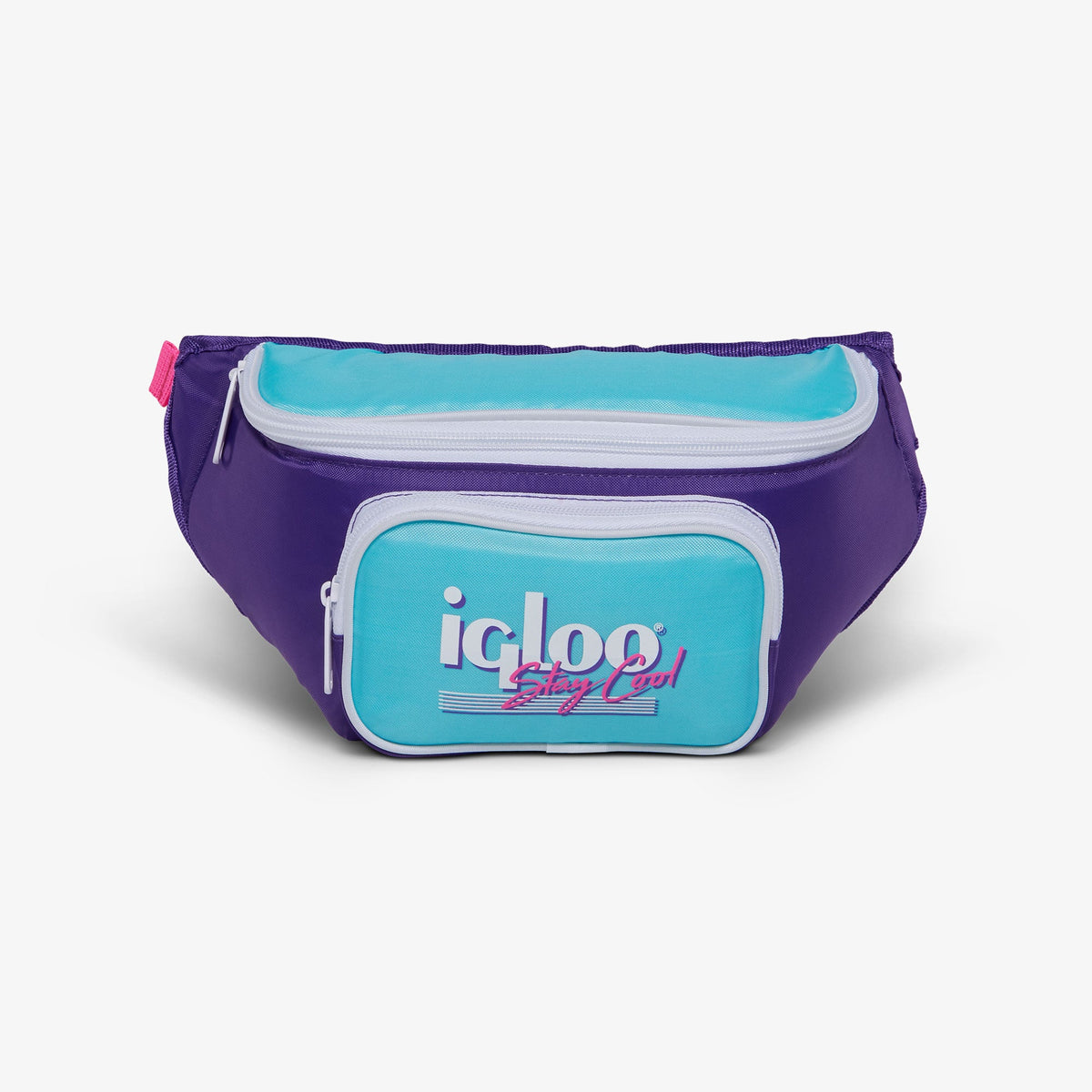 retro-fanny-pack-d5 00066056-F.jpg