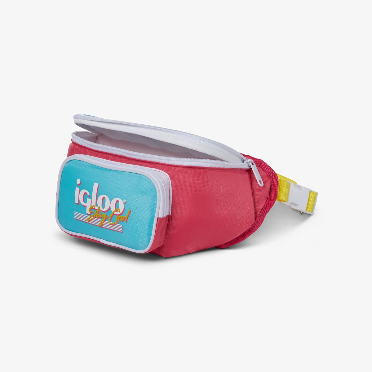 retro-fanny-pack-d5 00066058-O1.jpg