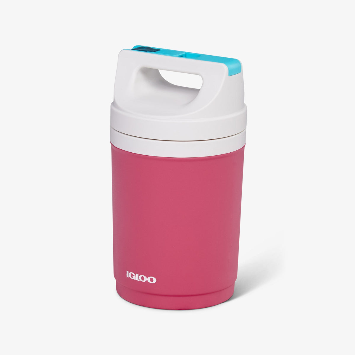retro-playmate-half-gallon-jug-v8 00070862-H1.jpg
